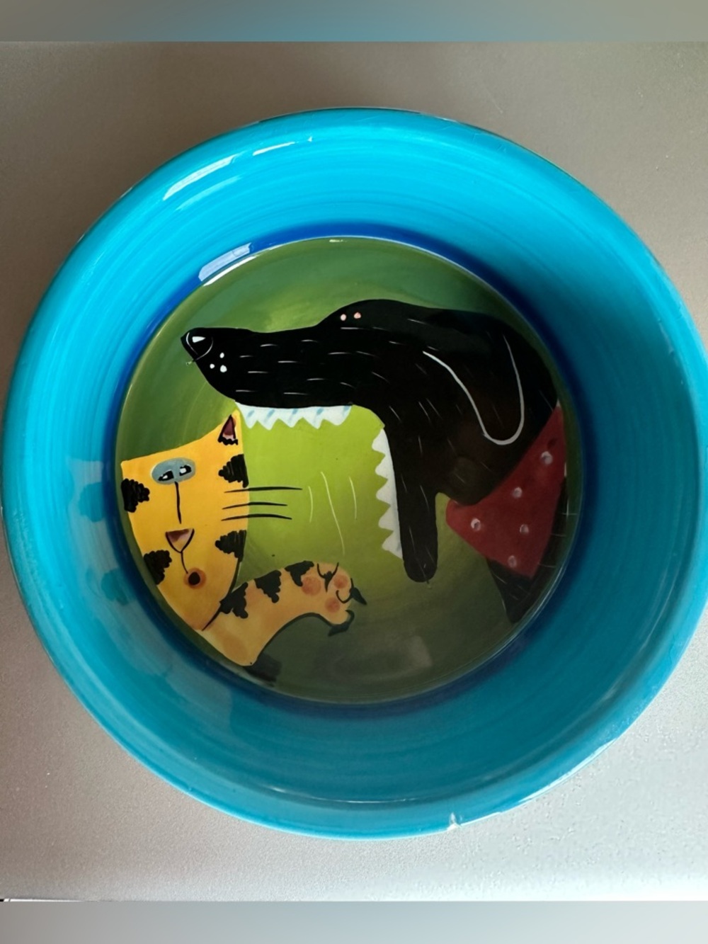 Hand-Painted Ceramic Pet Bowl — Bright Turquoise with Playful Dog & Cat Design